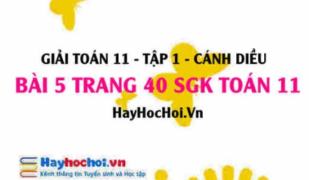 Giải bài 5 trang 40 Toán 11 tập 1 SGK Cánh Diều